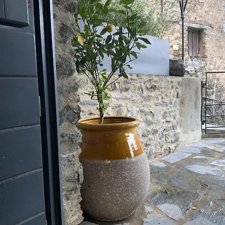 Superbe Maison Dans Village Au Coeur De La Corse A Casa Suttana *