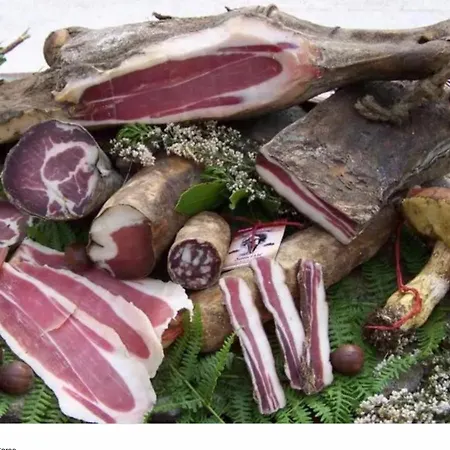 Superbe Maison Dans Village Au Coeur De La Corse A Casa Suttana *