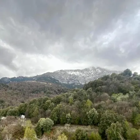 Villa Superbe Maison Dans Village Au Coeur De La Corse A Casa Suttana *