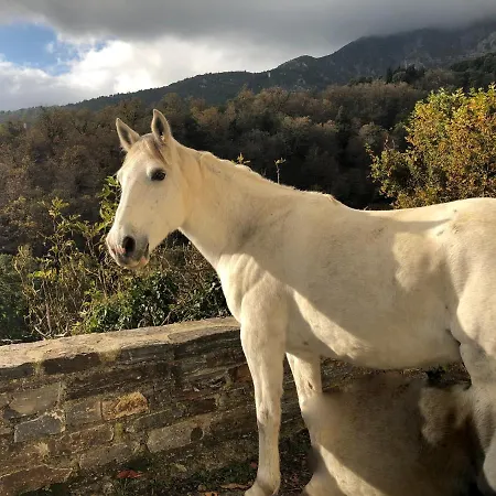 Superbe Maison Dans Village Au Coeur De La Corse A Casa Suttana