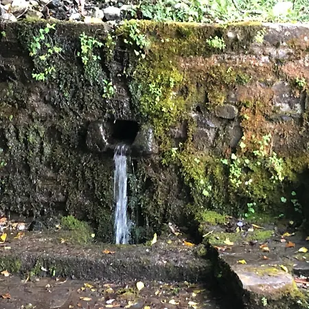 Villa Superbe Maison Dans Village Au Coeur De La Corse A Casa Suttana Verdese