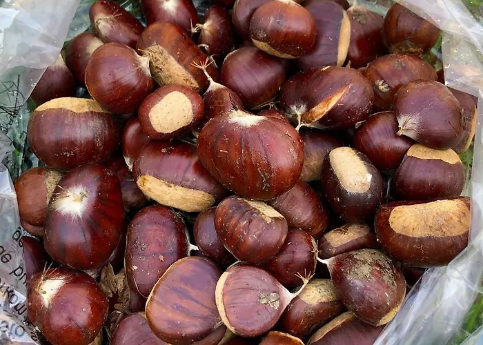 Villa Superbe Maison Dans Village Au Coeur De La Corse A Casa Suttana *