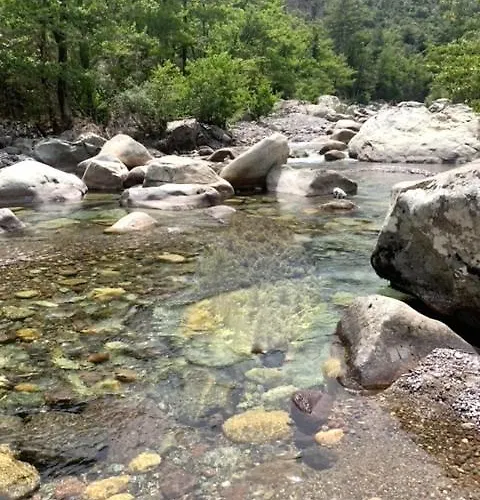Superbe Maison Dans Village Au Coeur De La Corse A Casa Suttana Villa