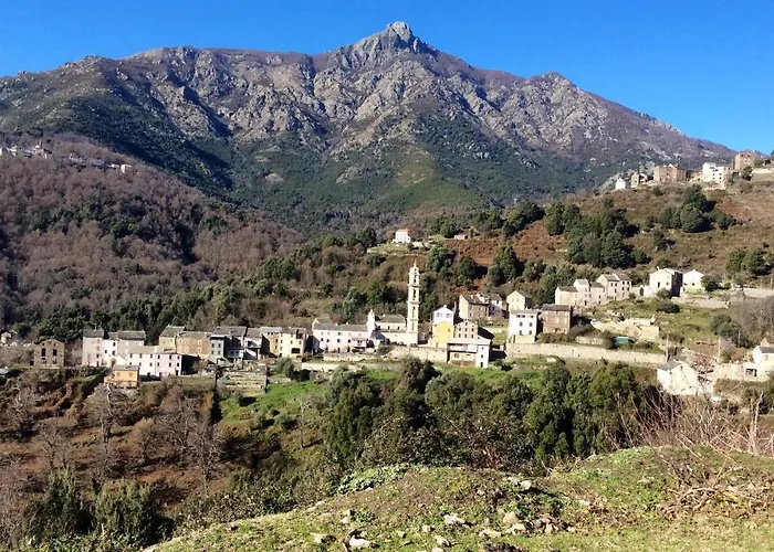Villa Superbe Maison Dans Village Au Coeur De La Corse A Casa Suttana Verdese