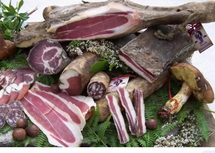 Superbe Maison Dans Village Au Coeur De La Corse A Casa Suttana *