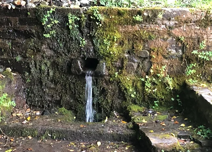 Villa Superbe Maison Dans Village Au Coeur De La Corse A Casa Suttana Verdese